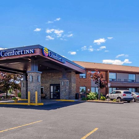 Comfort Inn Saint Catharines Екстер'єр фото