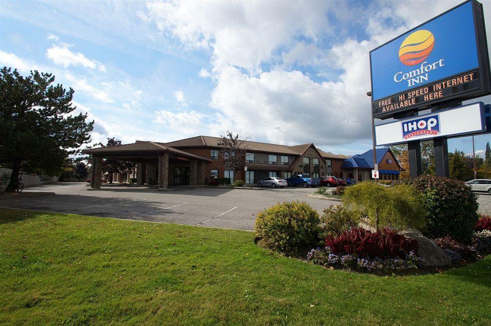 Comfort Inn Saint Catharines Екстер'єр фото